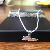 925 Sterling silver kid’s ST.Croix map set